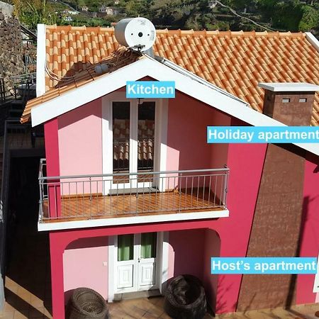 Pink House Daire Ponta do Sol  Dış mekan fotoğraf