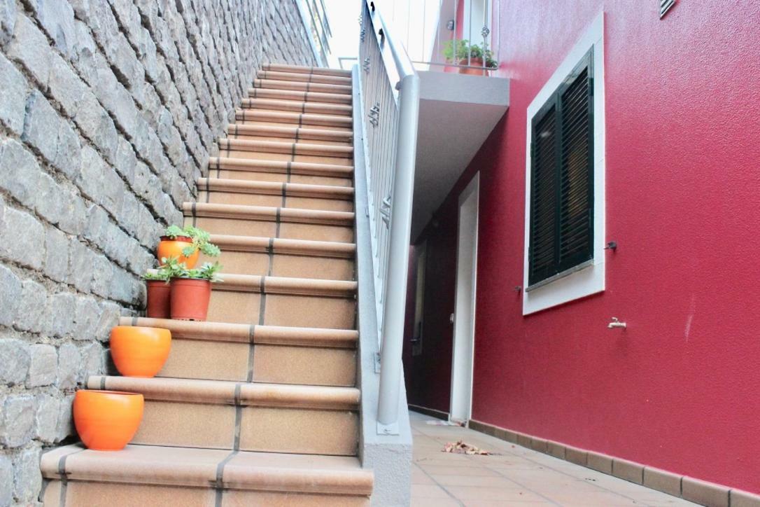 Pink House Daire Ponta do Sol  Dış mekan fotoğraf