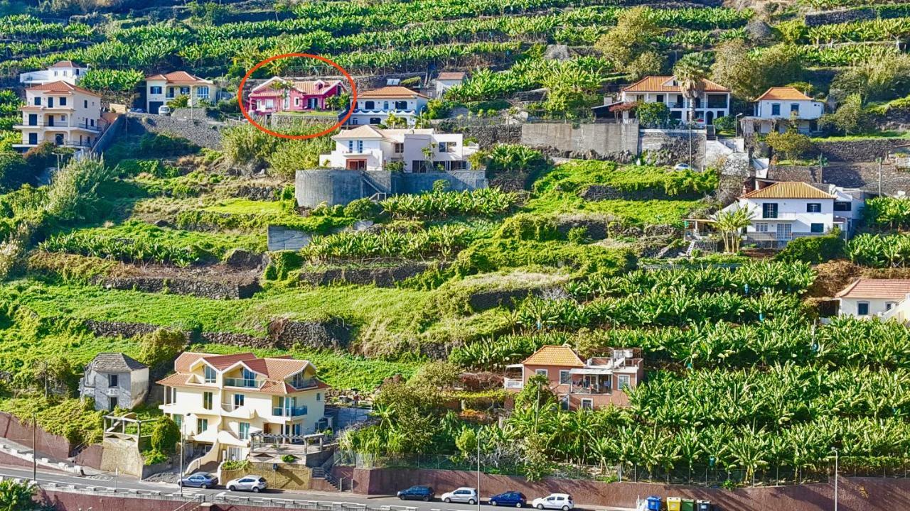 Pink House Daire Ponta do Sol  Dış mekan fotoğraf